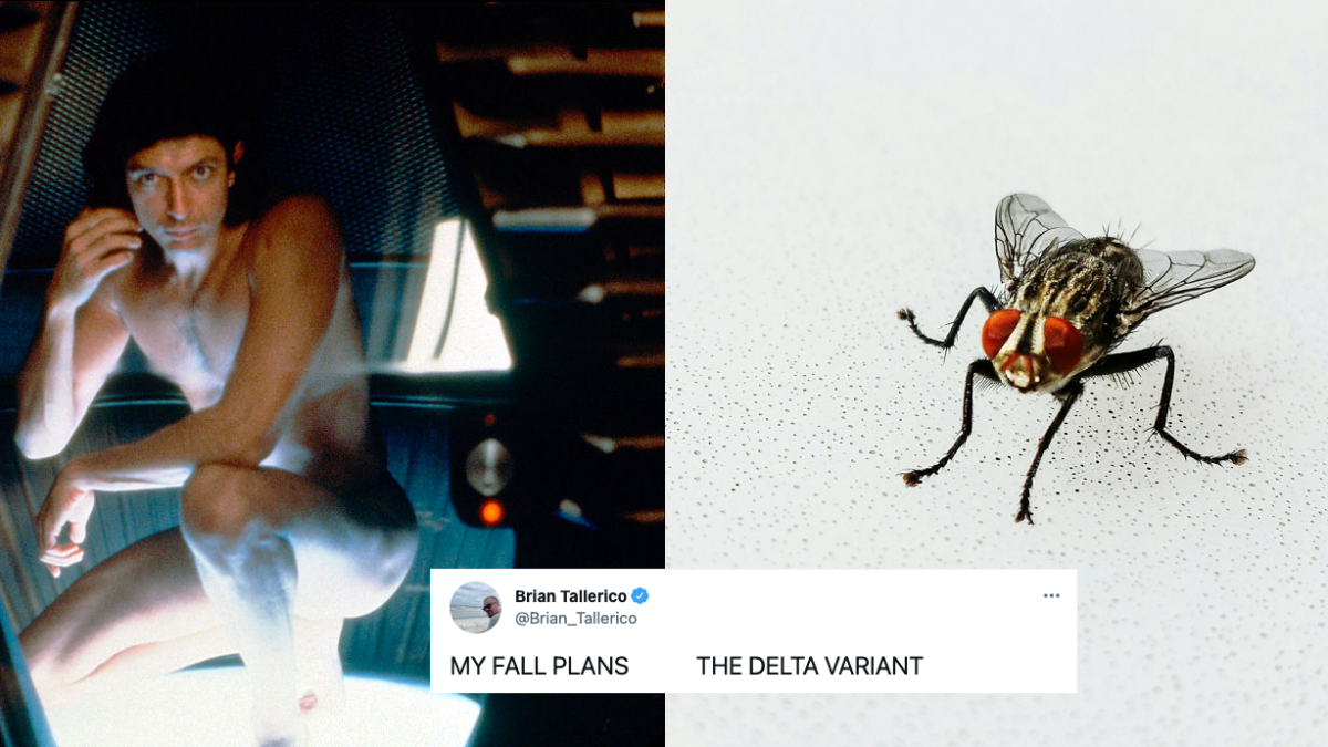 Brutal Twitter meme explores how Delta variant is crushing our fall plans