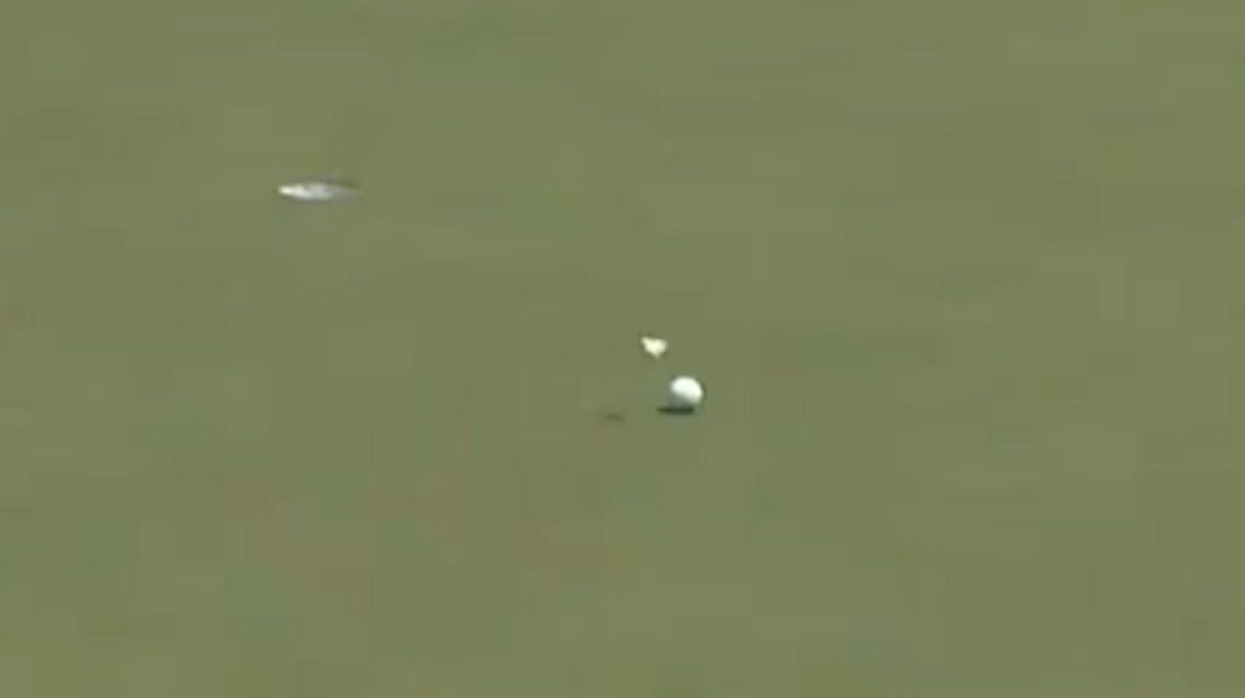 Watch Announcer Ecstatically Cheer On A Butterfly In Golf Broadcast