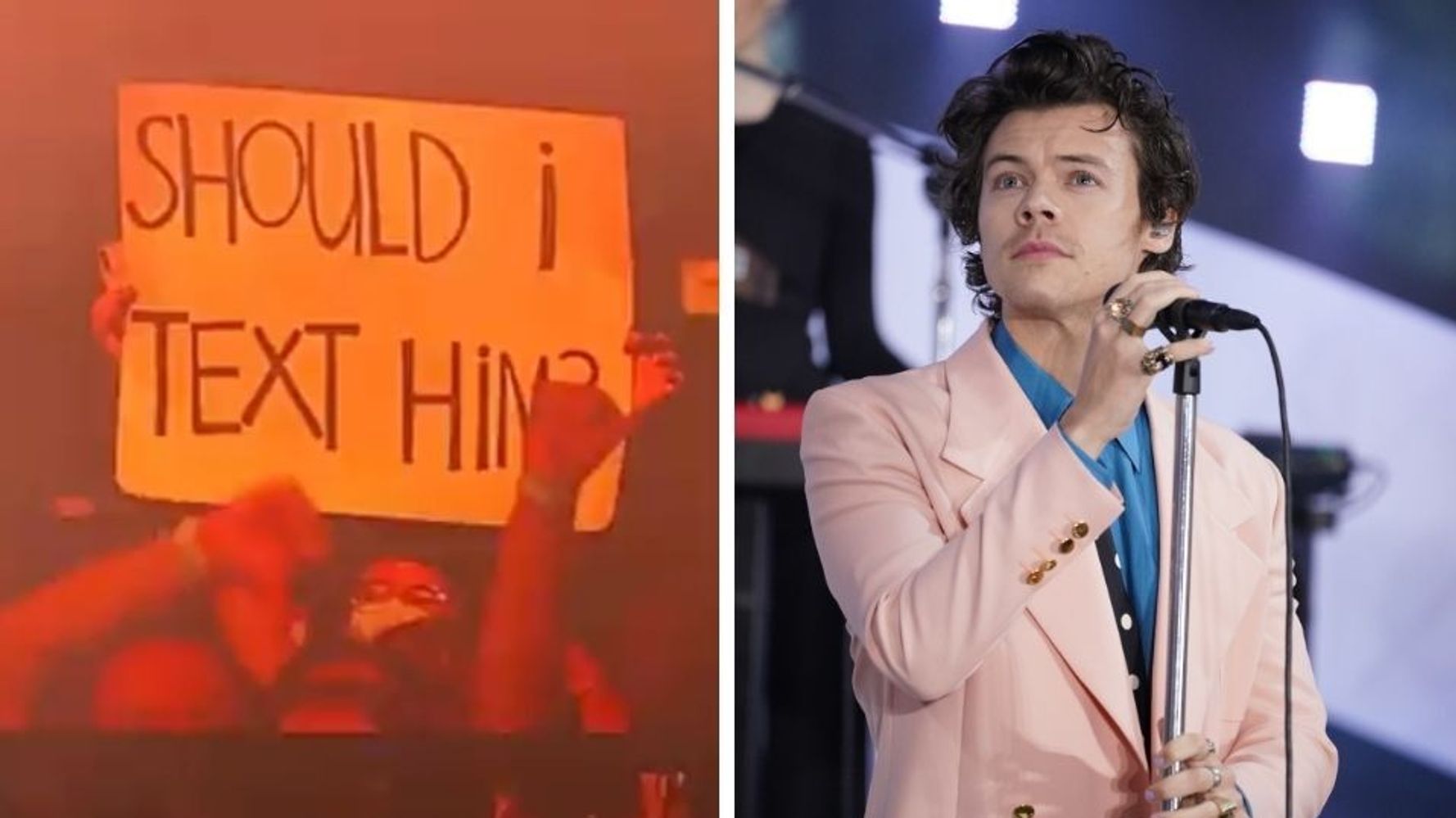 Harry Styles Stops Concert To Offer Fan Solid Dating Advice