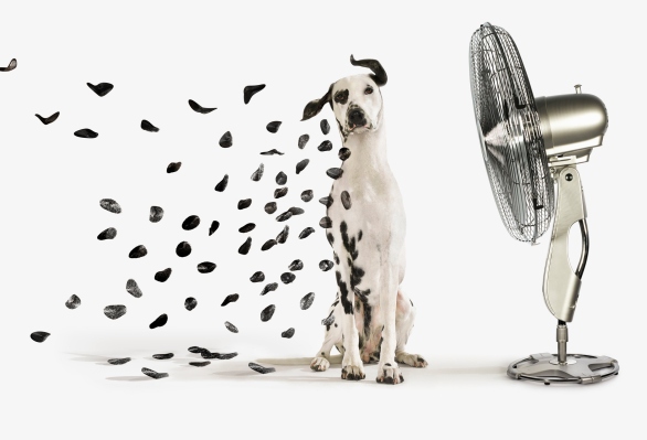 This week in TechCrunch Experts: Don’t blow your Q1 2022 marketing budget