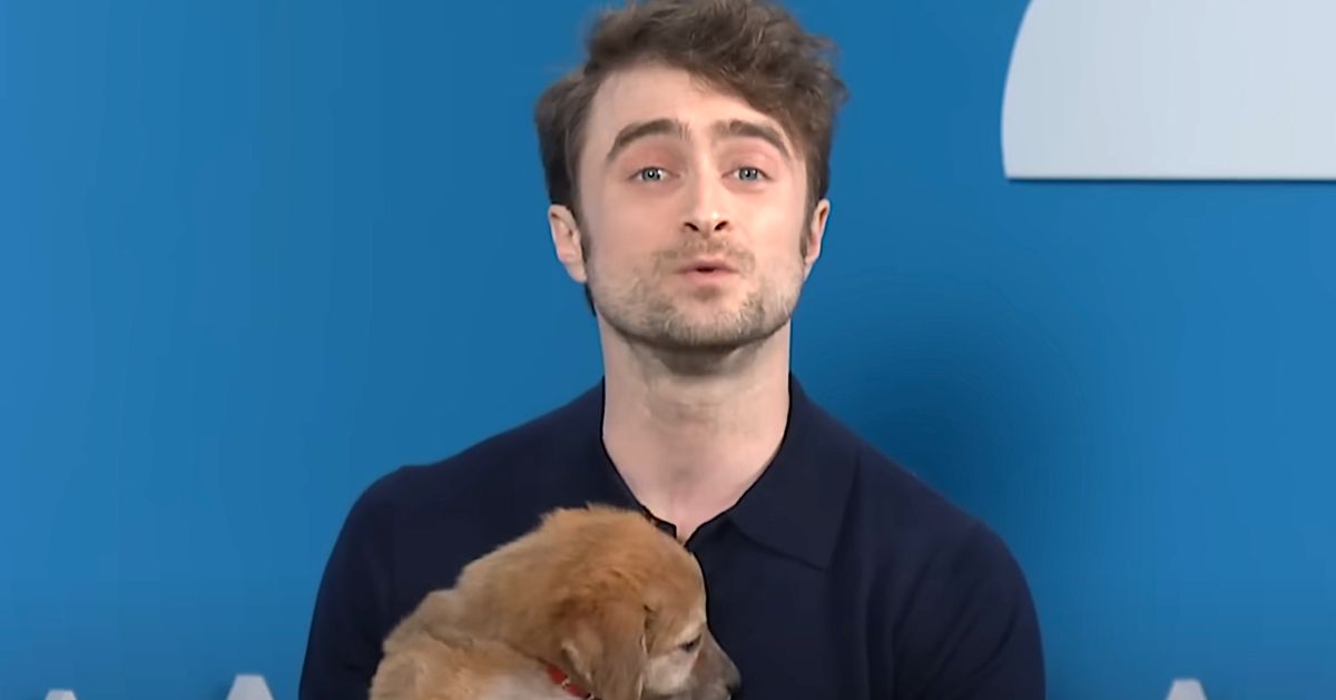 Watch Daniel Radcliffe Sell You On Rescue Pups With Harry Potter Shtick